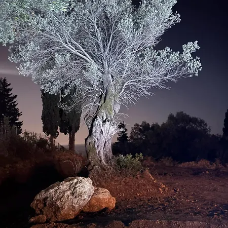 Stilvolles Hideaway - Pool, Aussicht, Naehe * פאלאוקסטריצה