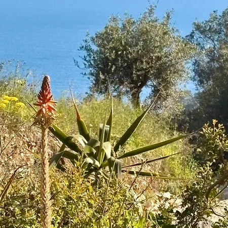 Xalupi - Design-villa Mit Pool Und Meerblick *